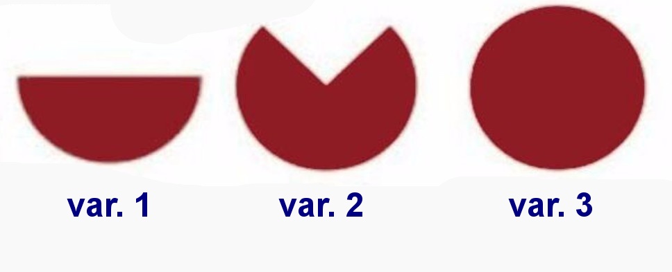 Dívčí flamenco sukně LOTTA (var. 1)