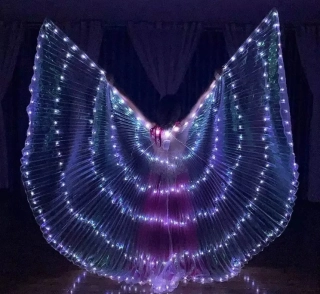 NOVINKA - LED Isis křídla - BÍLÁ (350 diod)